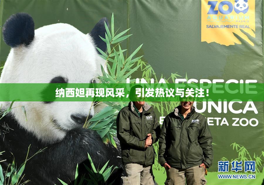 纳西妲再现风采，引发热议与关注！