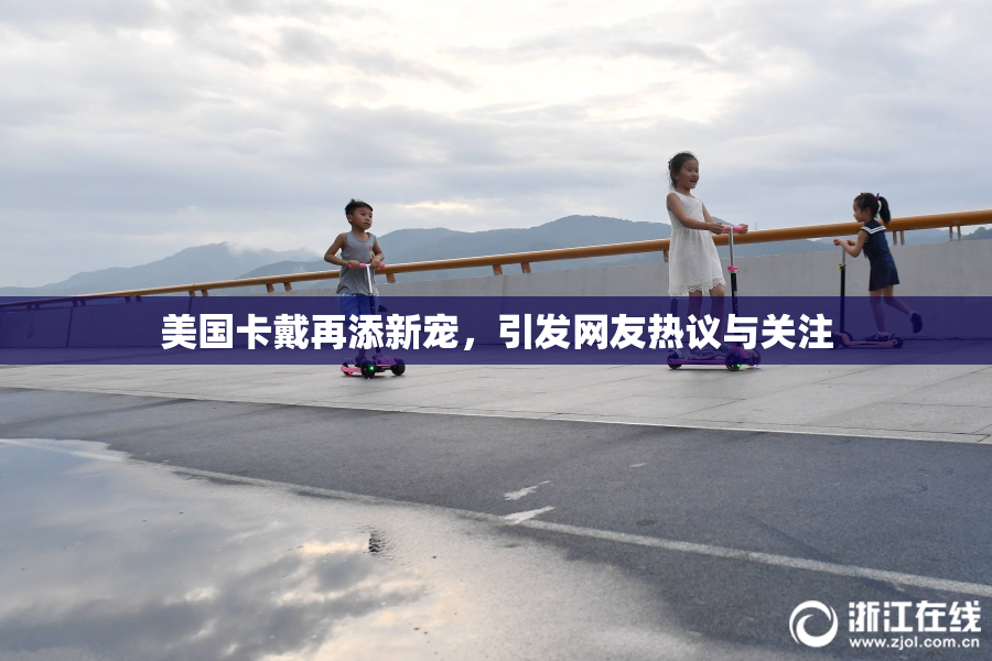 美国卡戴再添新宠，引发网友热议与关注