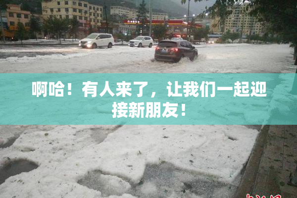啊哈！有人来了，让我们一起迎接新朋友！