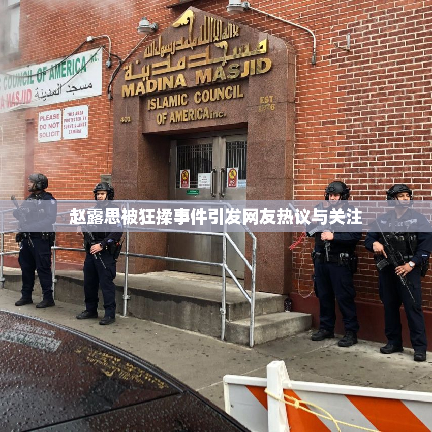 赵露思被狂揉事件引发网友热议与关注