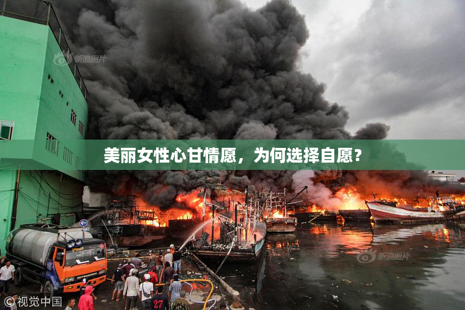 美丽女性心甘情愿，为何选择自愿？