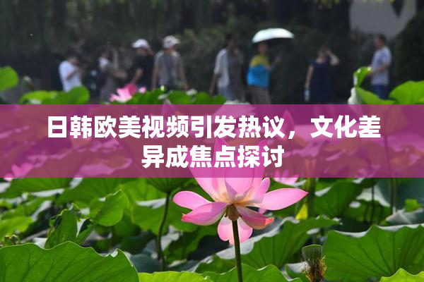 日韩欧美视频引发热议，文化差异成焦点探讨