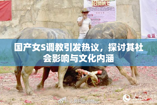 国产女S调教引发热议，探讨其社会影响与文化内涵