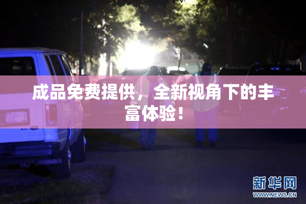 成品免费提供，全新视角下的丰富体验！