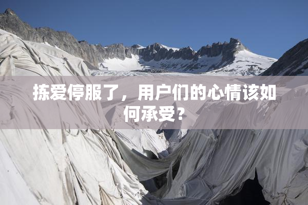 拣爱停服了，用户们的心情该如何承受？