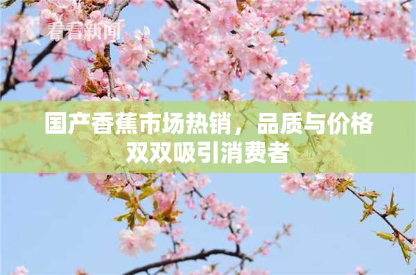 国产香蕉市场热销，品质与价格双双吸引消费者