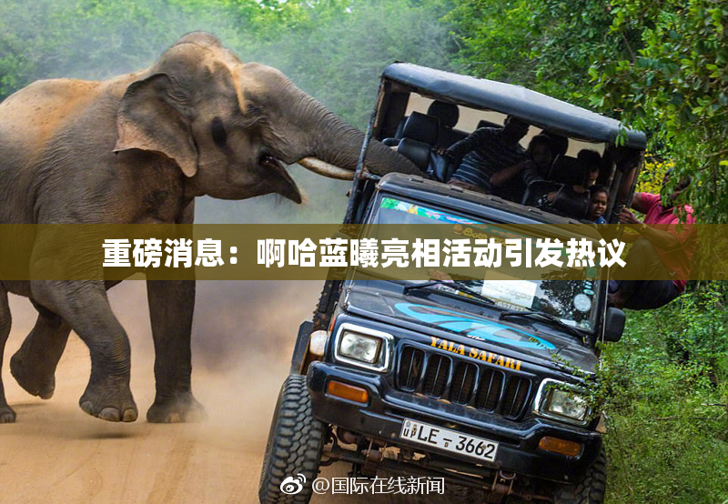 重磅消息：啊哈蓝曦亮相活动引发热议