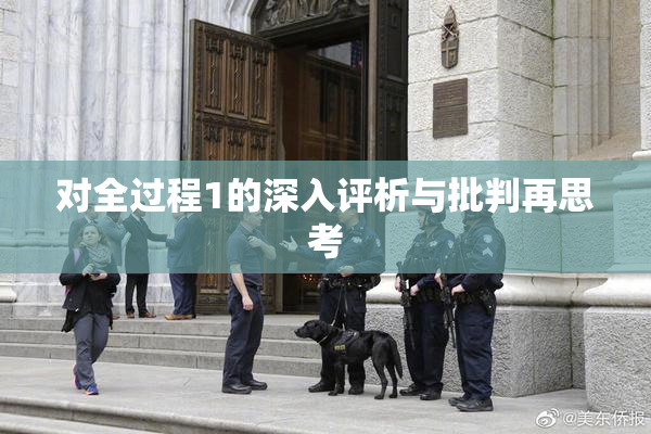 对全过程1的深入评析与批判再思考