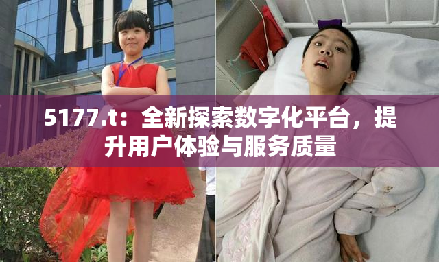 5177.t：全新探索数字化平台，提升用户体验与服务质量