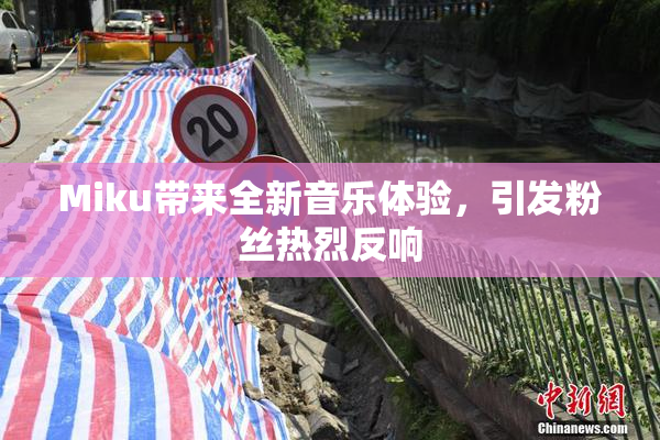 Miku带来全新音乐体验，引发粉丝热烈反响