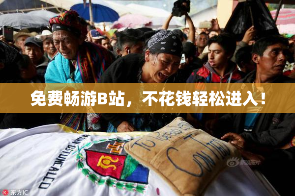 免费畅游B站，不花钱轻松进入！