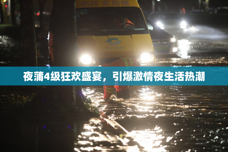 夜蒲4级狂欢盛宴，引爆激情夜生活热潮