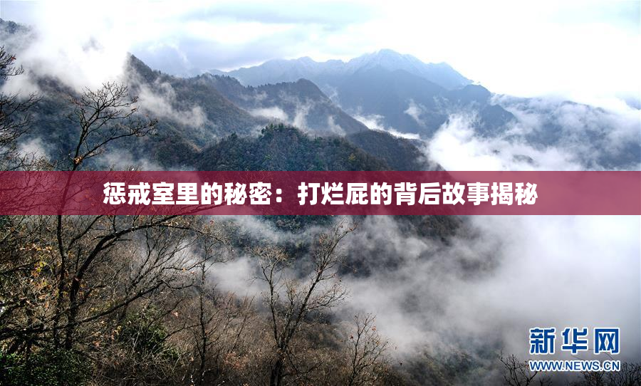 惩戒室里的秘密：打烂屁的背后故事揭秘