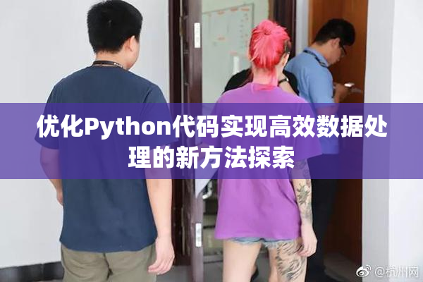 优化Python代码实现高效数据处理的新方法探索