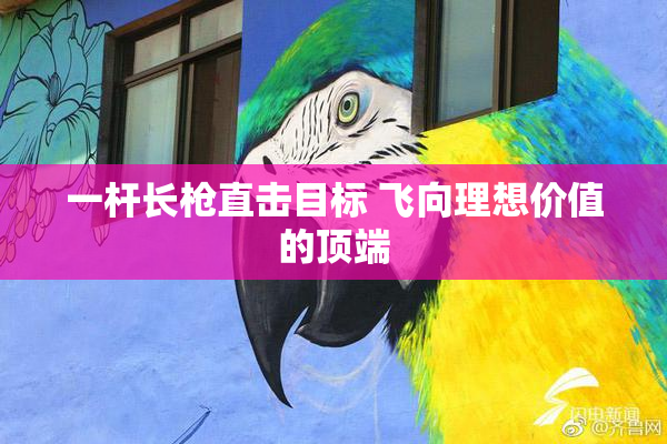 一杆长枪直击目标 飞向理想价值的顶端
