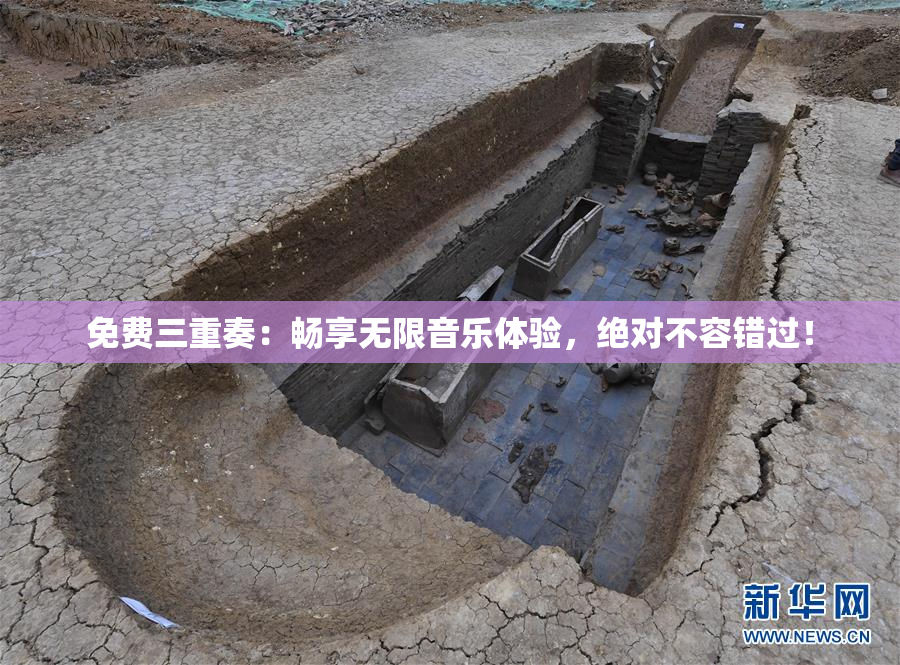 免费三重奏：畅享无限音乐体验，绝对不容错过！