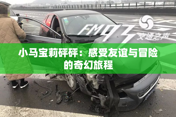 小马宝莉砰砰：感受友谊与冒险的奇幻旅程