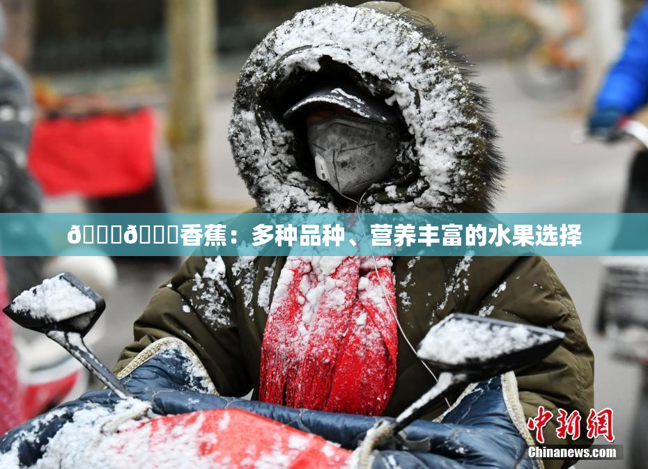🔞🔞香蕉：多种品种、营养丰富的水果选择