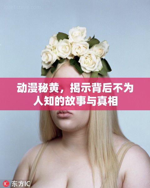 动漫秘黄，揭示背后不为人知的故事与真相