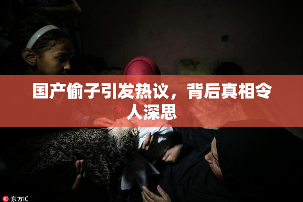国产偷子引发热议，背后真相令人深思
