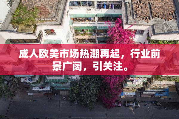 成人欧美市场热潮再起，行业前景广阔，引关注。