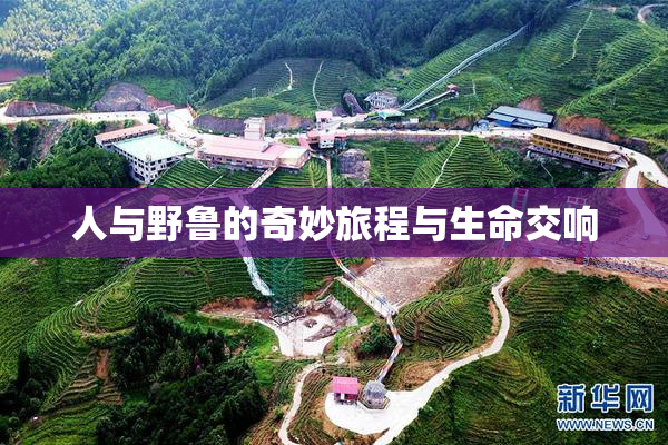 人与野鲁的奇妙旅程与生命交响