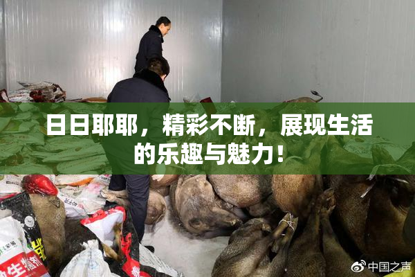日日耶耶，精彩不断，展现生活的乐趣与魅力！