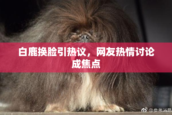 白鹿换脸引热议，网友热情讨论成焦点