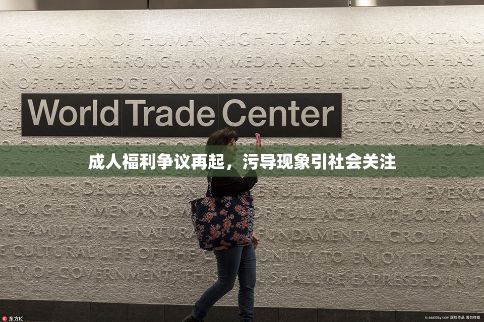 成人福利争议再起，污导现象引社会关注