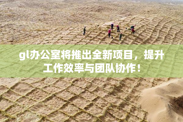 gl办公室将推出全新项目，提升工作效率与团队协作！