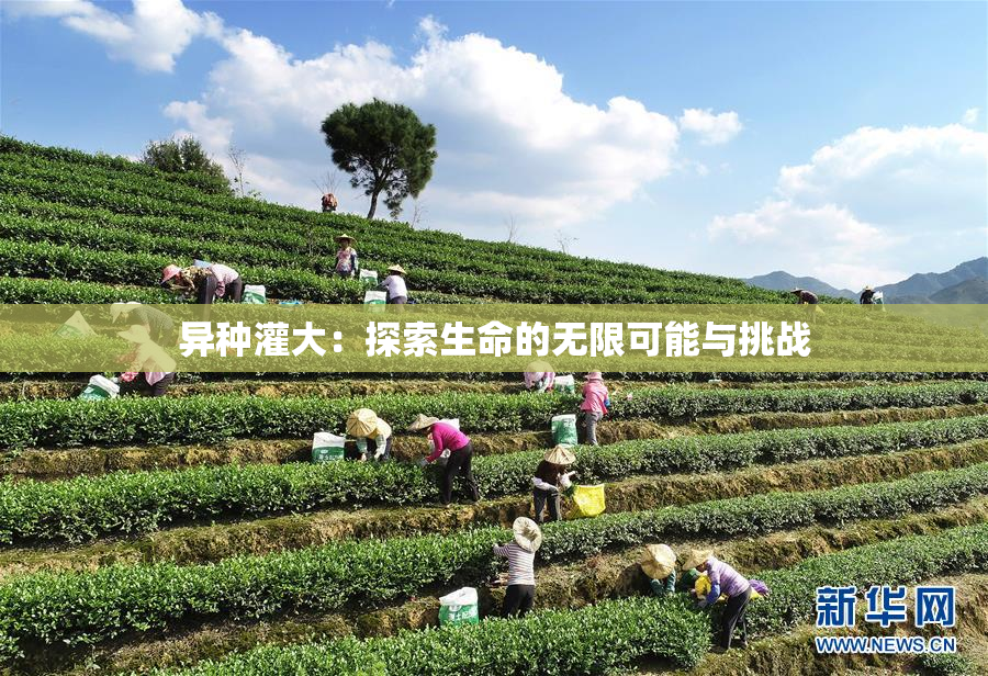 异种灌大：探索生命的无限可能与挑战