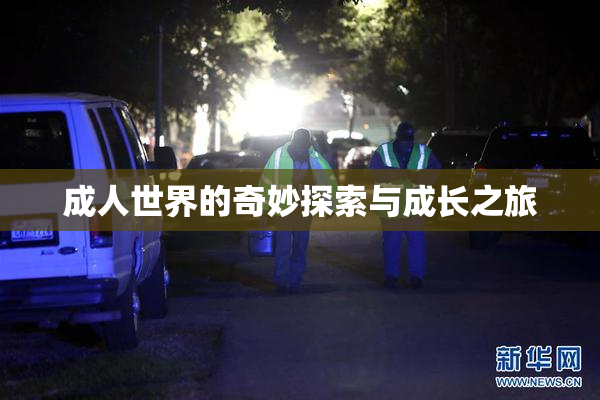 成人世界的奇妙探索与成长之旅