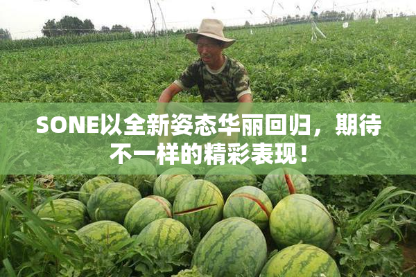 SONE以全新姿态华丽回归，期待不一样的精彩表现！