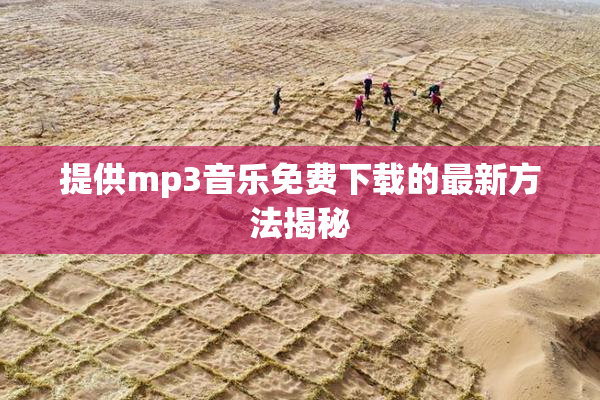 提供mp3音乐免费下载的最新方法揭秘