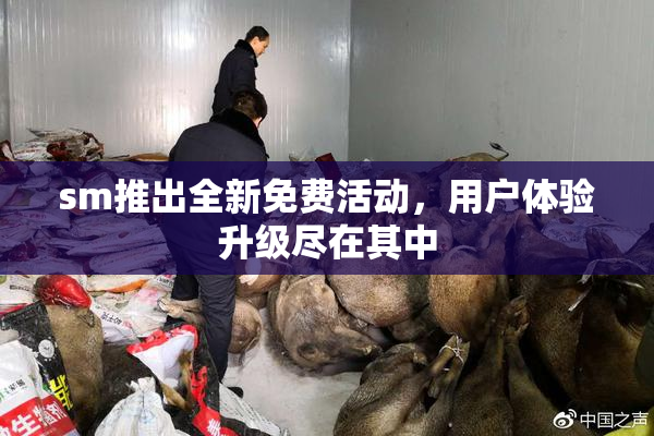 sm推出全新免费活动，用户体验升级尽在其中