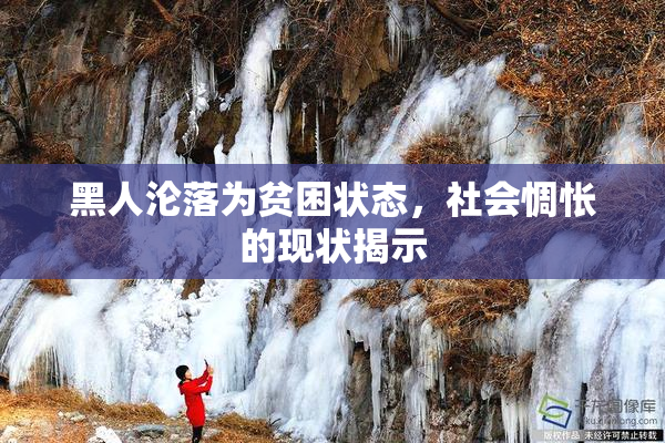 黑人沦落为贫困状态，社会惆怅的现状揭示