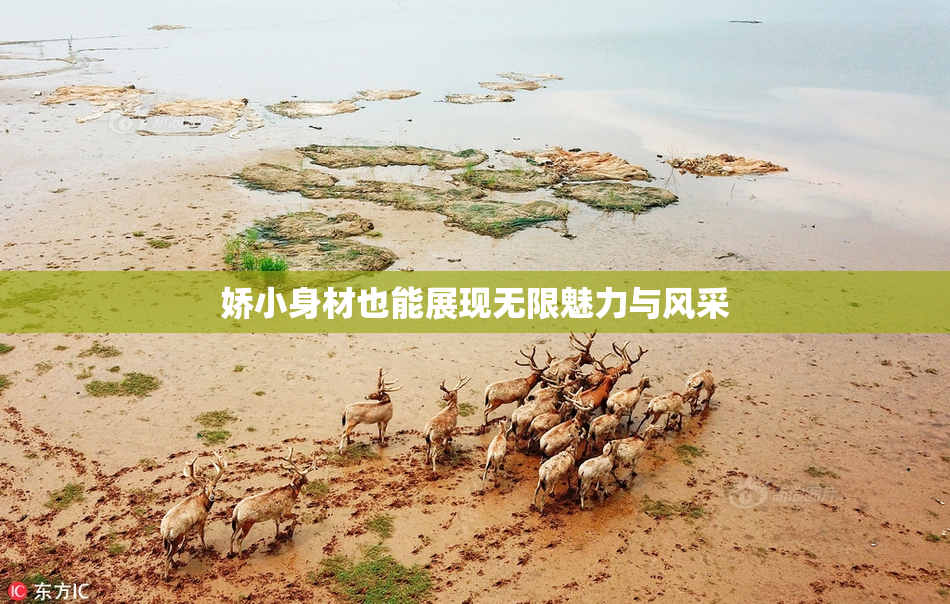 娇小身材也能展现无限魅力与风采