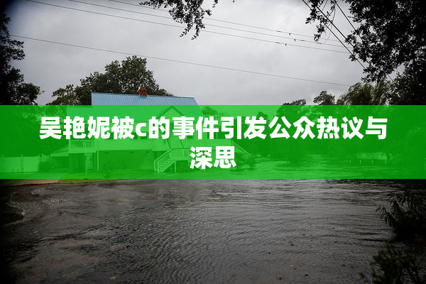 吴艳妮被c的事件引发公众热议与深思