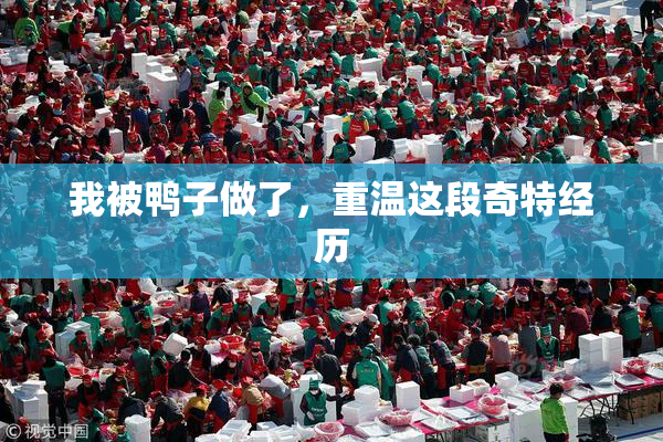 我被鸭子做了，重温这段奇特经历