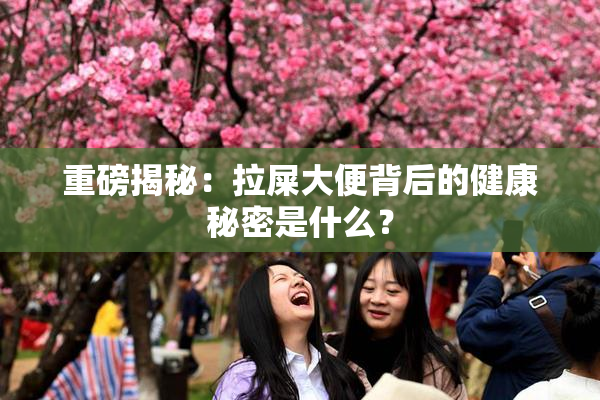 重磅揭秘：拉屎大便背后的健康秘密是什么？