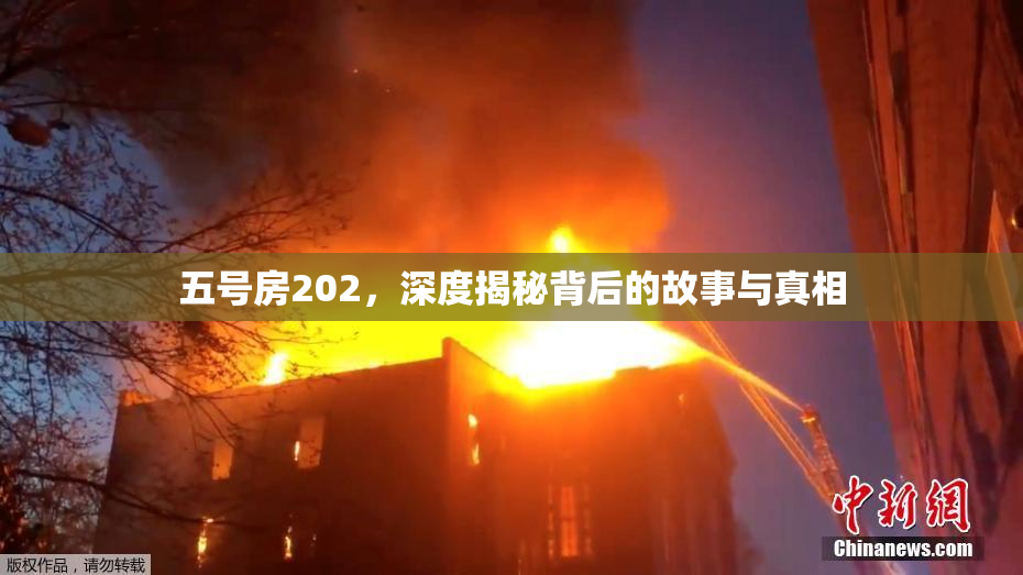 五号房202，深度揭秘背后的故事与真相