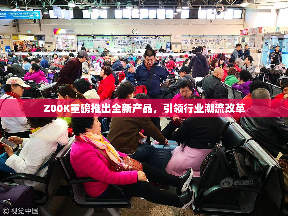 Z00K重磅推出全新产品，引领行业潮流改革
