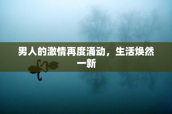 男人的激情再度涌动，生活焕然一新