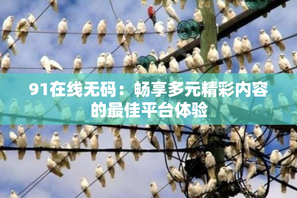 91在线无码：畅享多元精彩内容的最佳平台体验