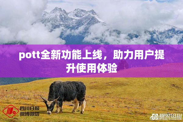pott全新功能上线，助力用户提升使用体验