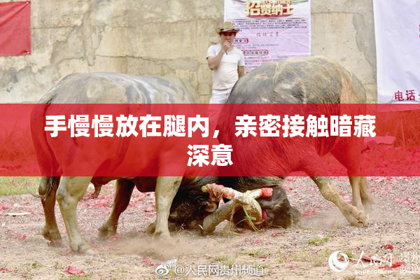 手慢慢放在腿内，亲密接触暗藏深意