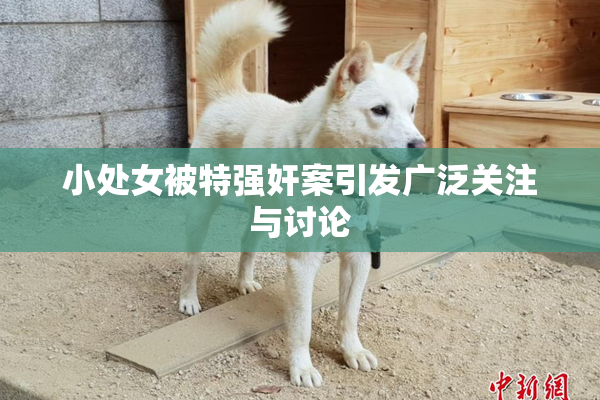 小处女被特强奸案引发广泛关注与讨论