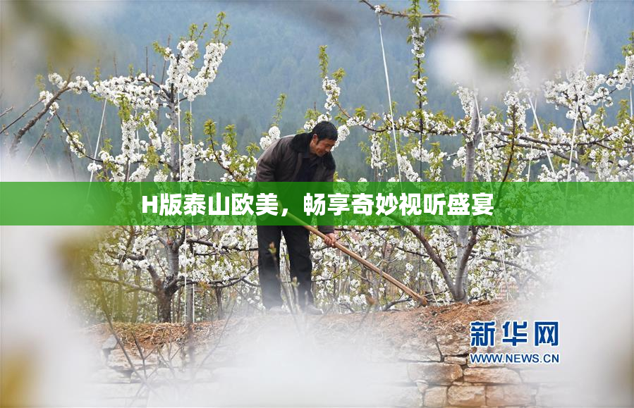 H版泰山欧美，畅享奇妙视听盛宴