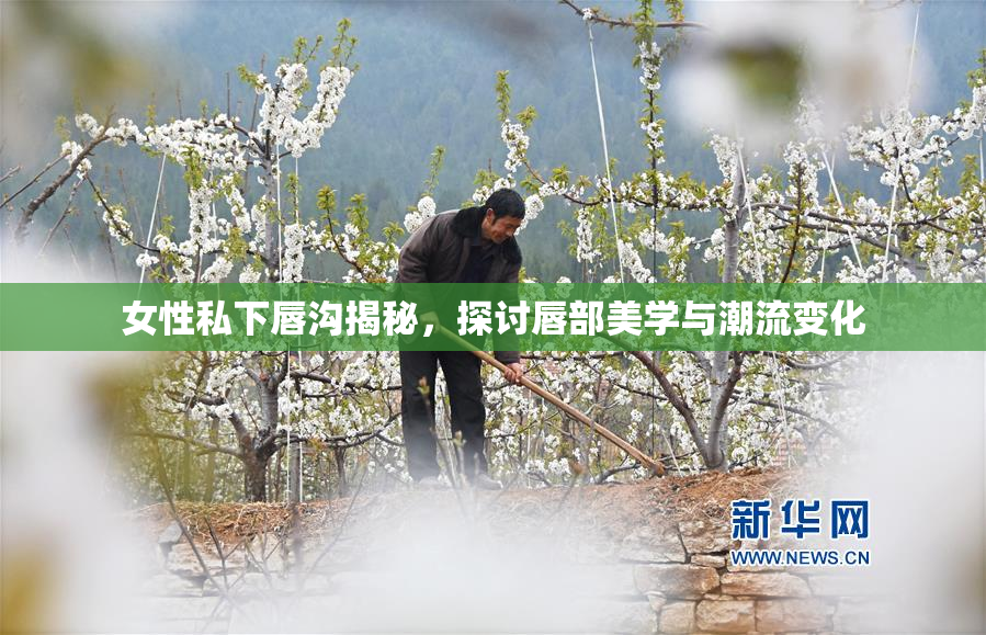 女性私下唇沟揭秘，探讨唇部美学与潮流变化