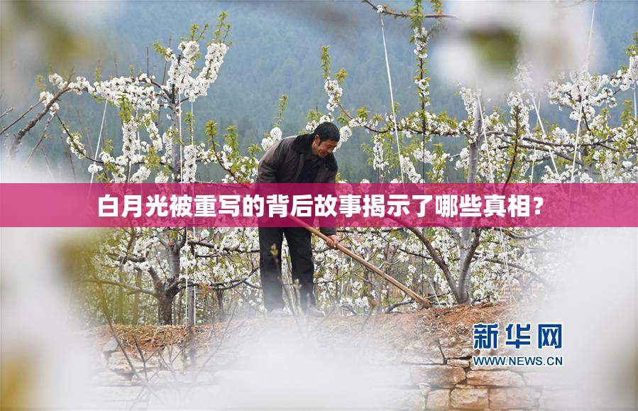 白月光被重写的背后故事揭示了哪些真相？